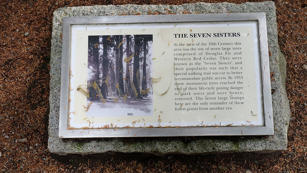 The Seven Sisters Stanley Park