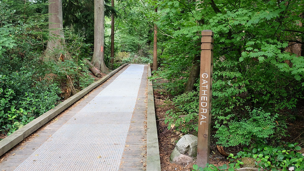 Stanley Park Cathedral Trail