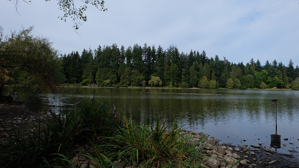 Lost Lagoon Stanley Park