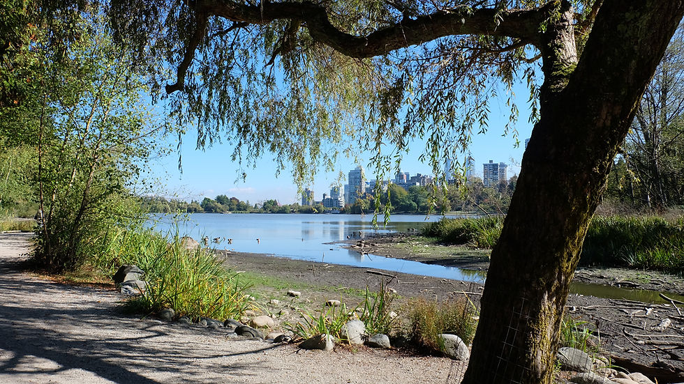 Lost Lagoon Stanley Park