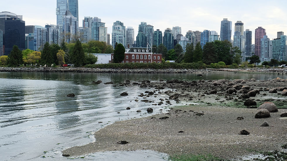 Deadman's Island