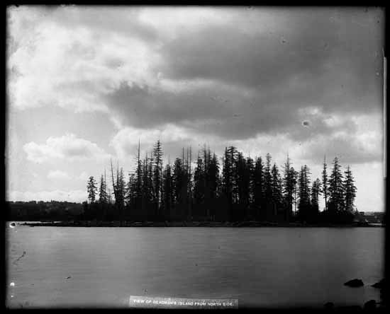 Deadman's Island