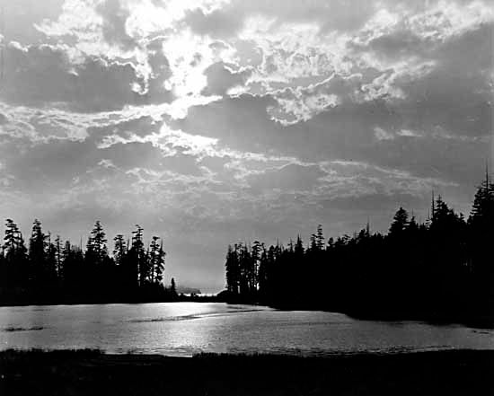 Lost Lagoon Stanley Park