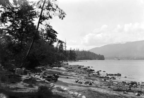 The First Narrows, Stanley Park